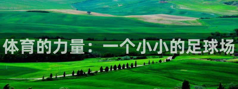 安信16平台注册入口