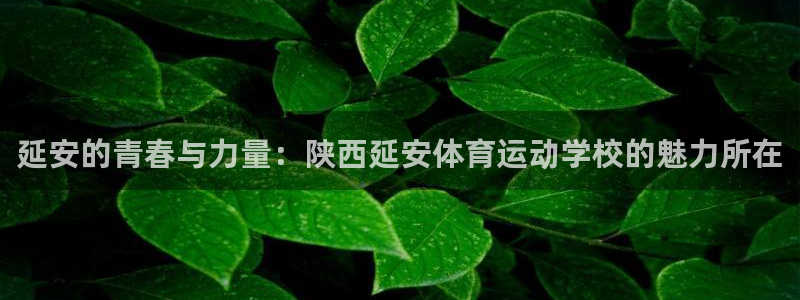 安信16平台注册入口