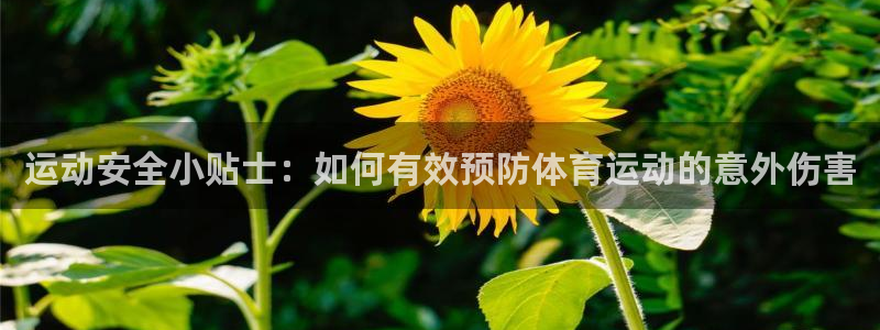 意昂代理注册官网入口