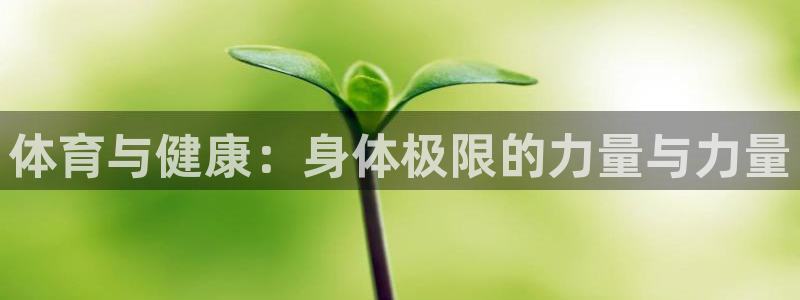 安信16体育官网登录