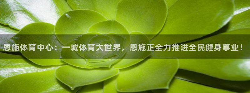 安信16体育