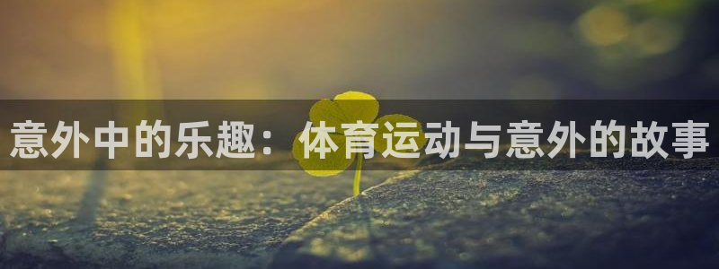 安信16体育凯捷平台代理