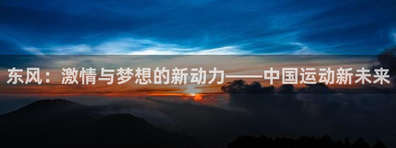 安信16体育4
