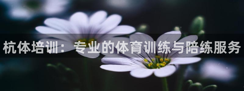 安信16凯捷平台