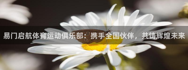 安信164平台注册
