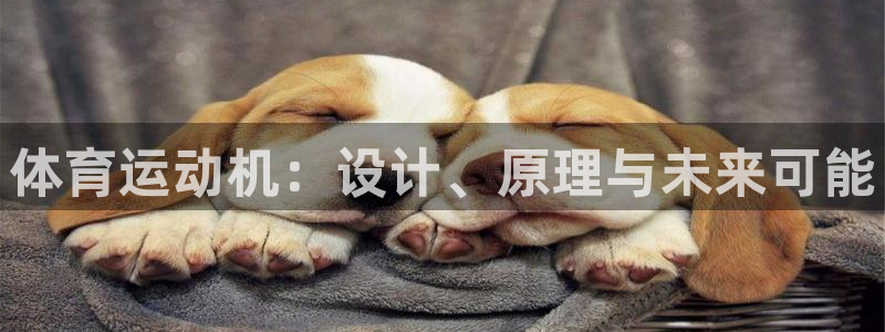 安信163登录