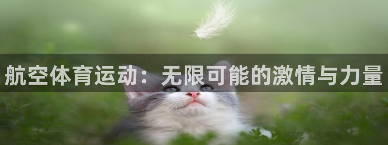 安信16登录注册