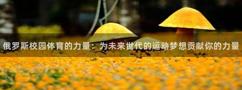 安信16官网
