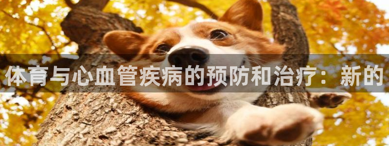 意昂凯捷注册