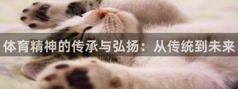 安信16平台开户链接