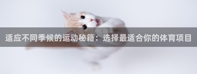 意昂是什么品牌