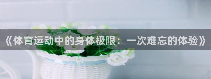 安信163注册