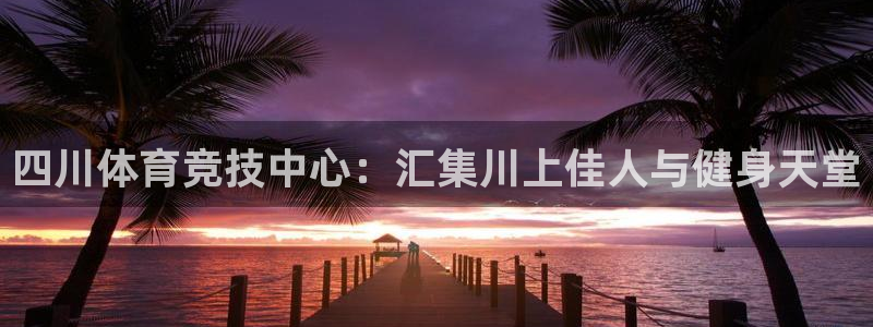 安信16集团官网