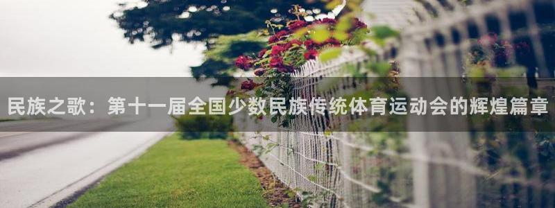 安信16平台招商