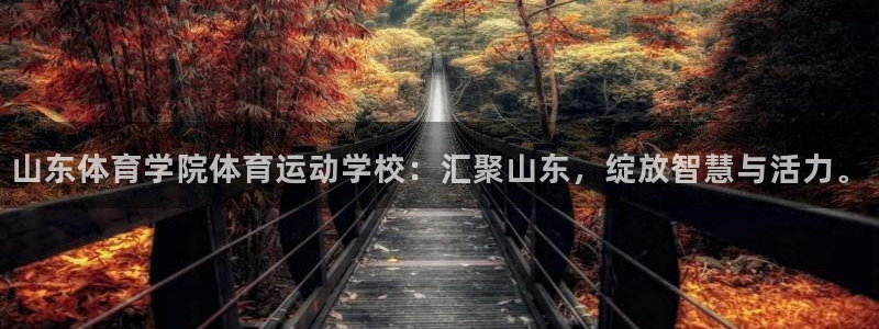 安信16登录注册