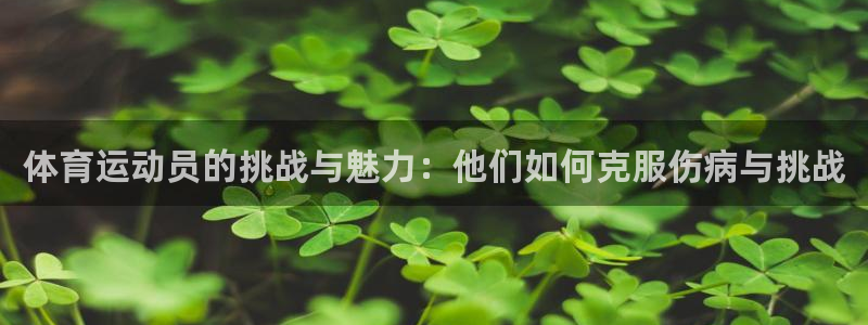 东莞市安信16电子科技有限公司