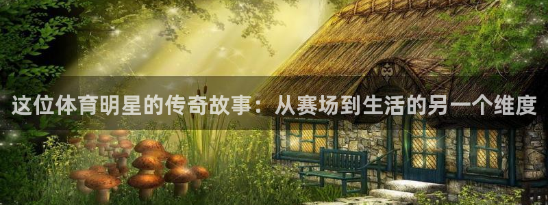 安信16体育论坛