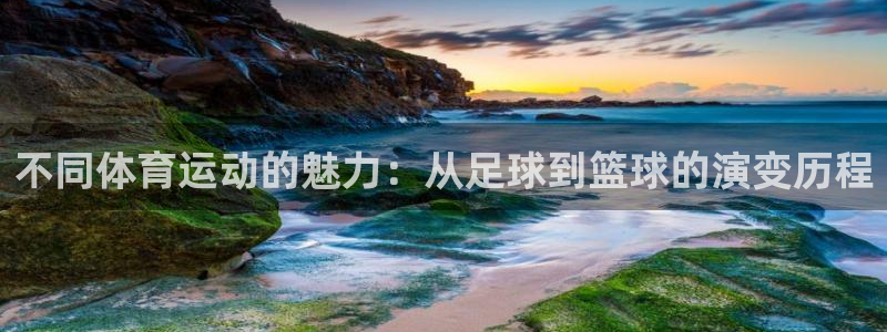 安信163代理