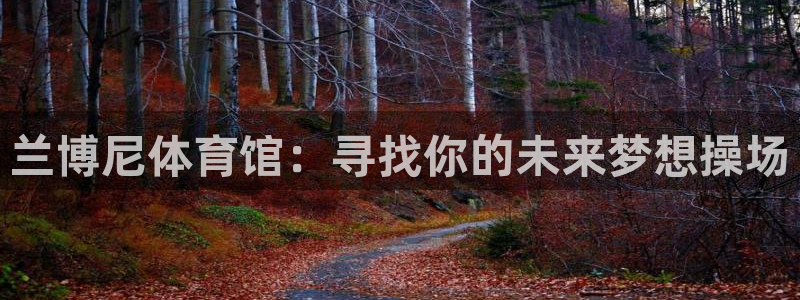 安信16体育
