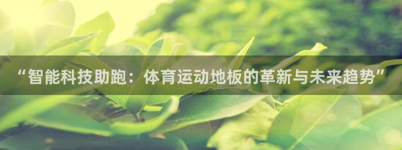 安信16招商