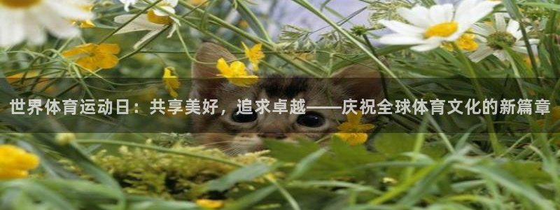 www.安信16体育.com